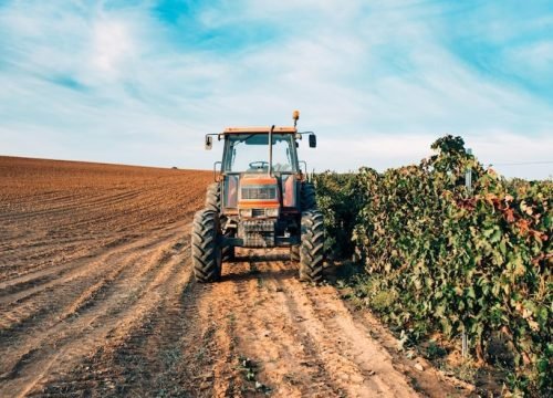 tractor-vineyard_657883-459
